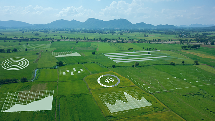 iLbrWboD7BGmKDZ1u7rNJNdZEkDEA2Xnsi4Sj6m0